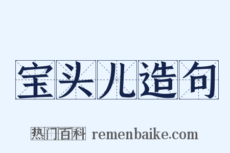 宝头儿造句是什么意思的图片